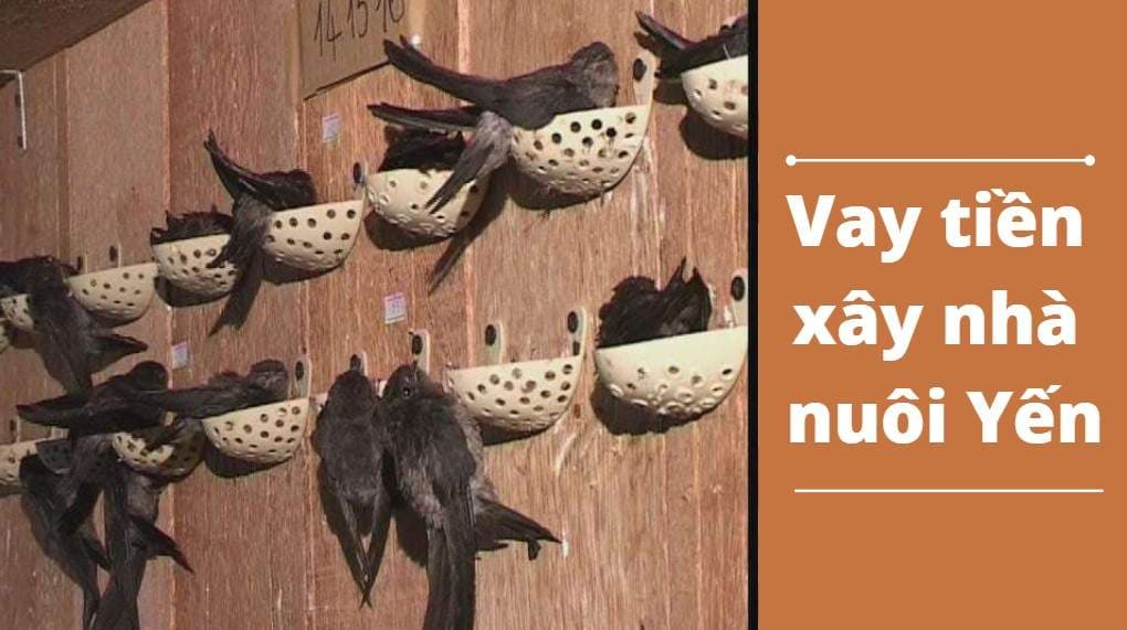 ngan-hang-nao-cho-vay-tien-xay-nha-yen-dieu-kien-va-thu-tuc-vay-tien-xay-nha-yen